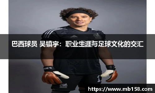 完美体育