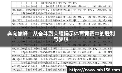 365完美体育