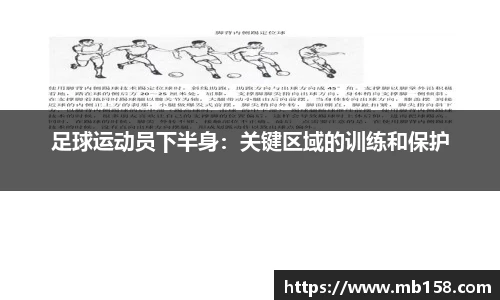 365完美体育