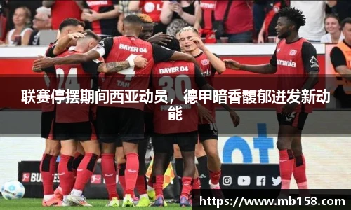 完美体育登录入口