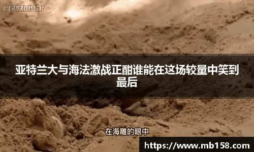 365完美体育官网
