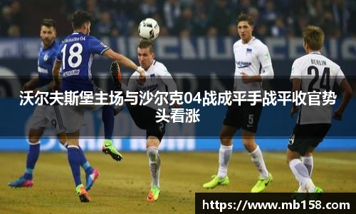 365完美体育官网