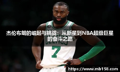 完美体育登录入口